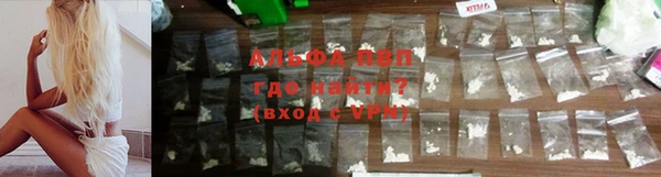 СК Богородицк