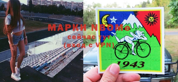 сатива Бронницы