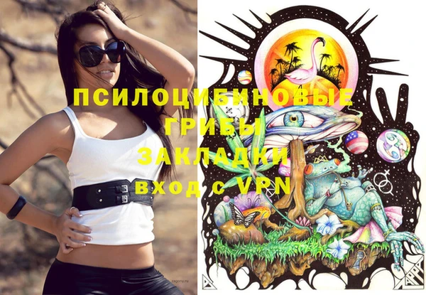 мяу мяу кристалл Верея